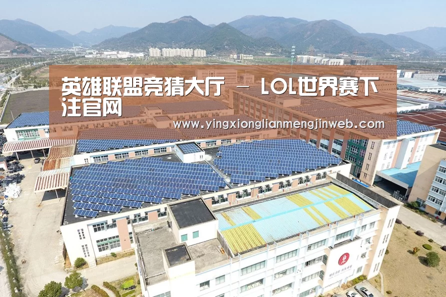 案例展示一