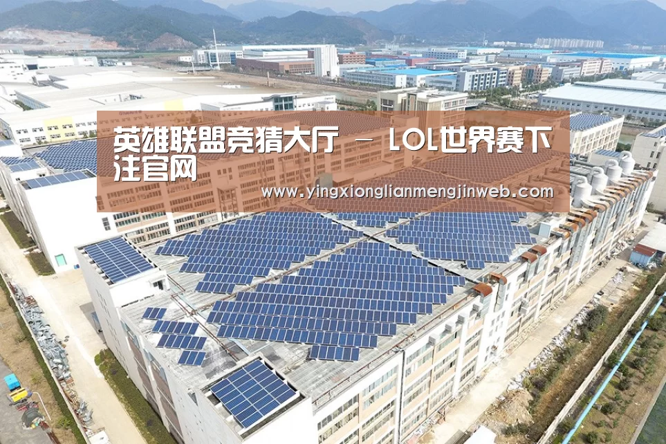 案例展示四