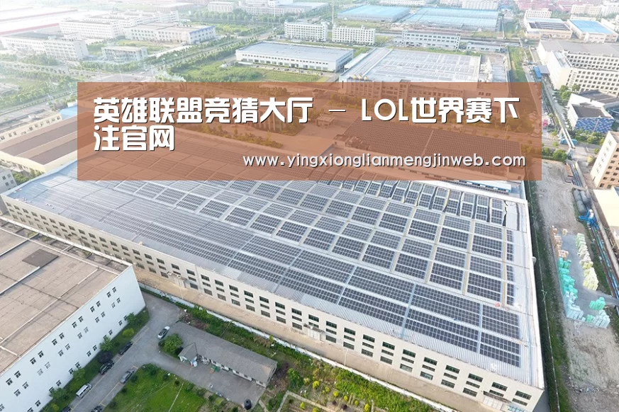 案例展示三