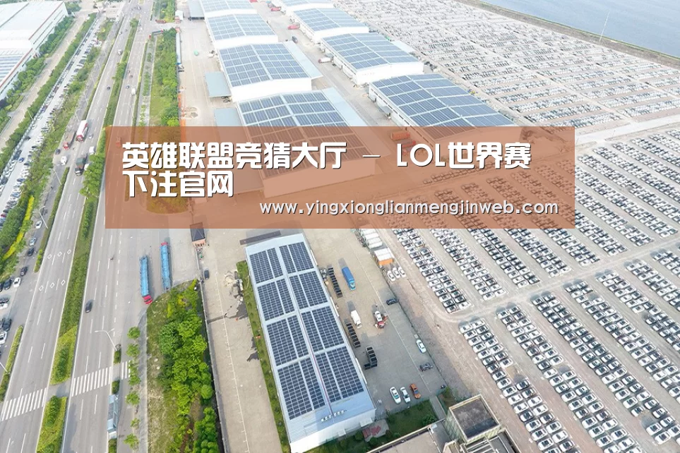 案例展示一
