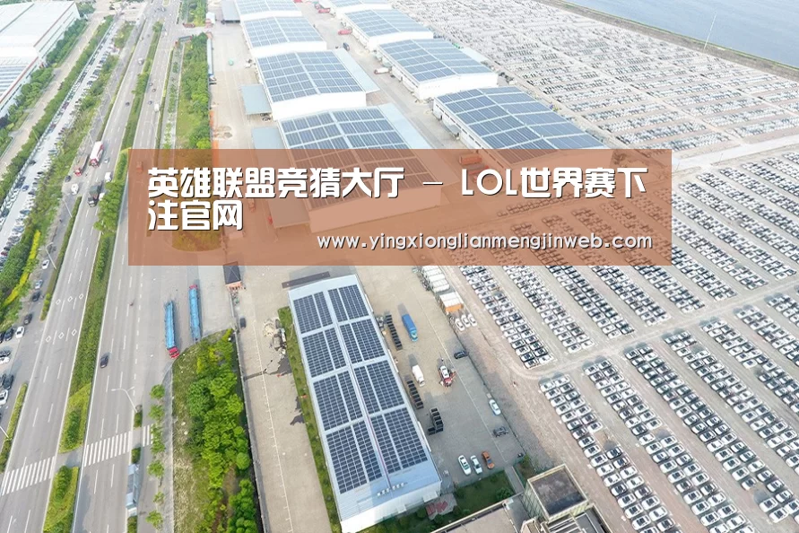 案例展示四