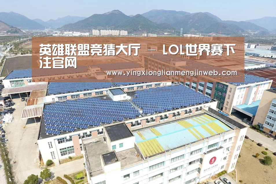 案例展示三