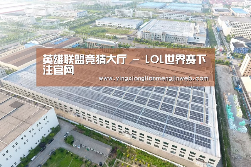 案例展示四