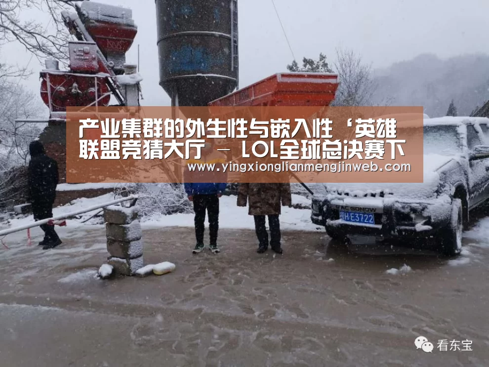 产业集群的外生性与嵌入性‘英雄联盟竞猜大厅 - LOL全球总决赛下注官方网站直播’(图2) 英雄联盟竞猜大厅 - LOL全球总决赛下注官方网站