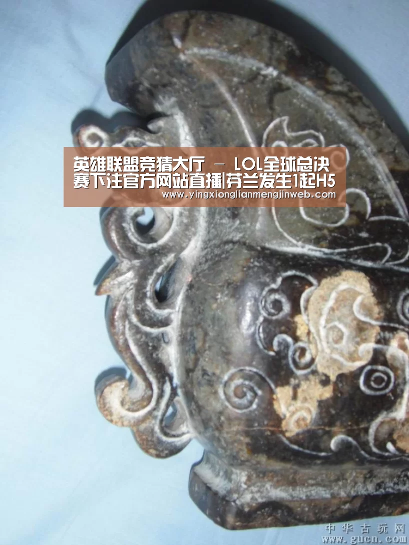 英雄联盟竞猜大厅 - LOL全球总决赛下注官方网站直播|芬兰发生1起H5N8亚型高致病性禽流感(图4) 英雄联盟竞猜大厅 - LOL全球总决赛下注官方网站直播